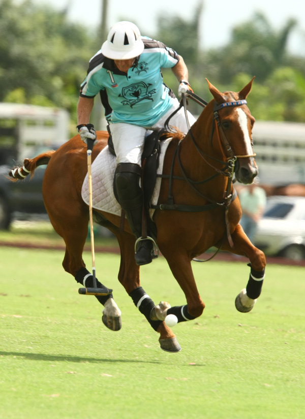 Piaget Memorial Polo tournament polo mag grand champions polo club 5