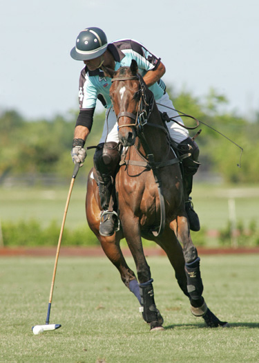 polo mag polo tournament florida polo spring challenge photos pacheco 5