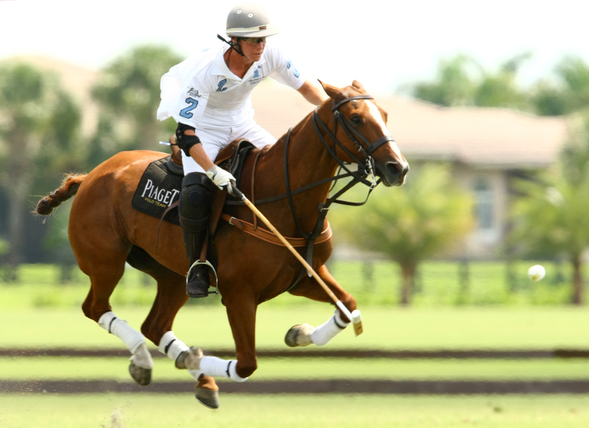 uspa polo tournament sun cup round robin pacheco polo mag 3
