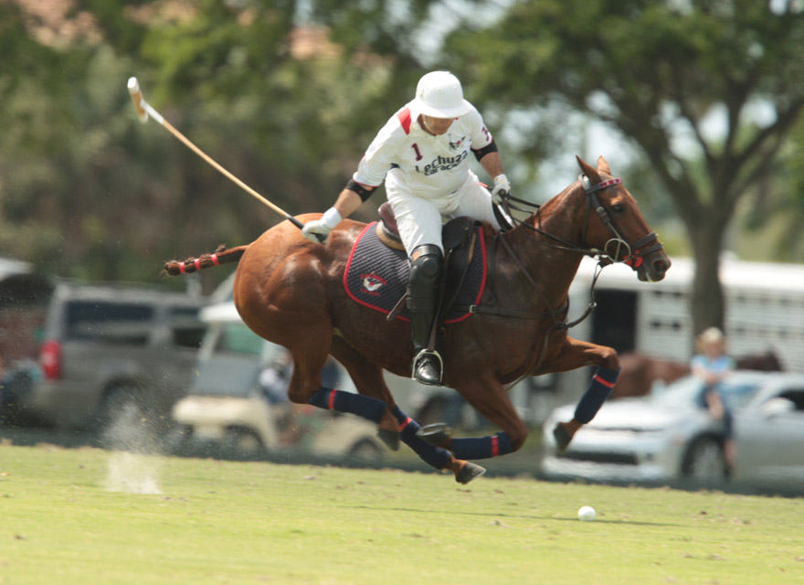 lechuza 6 polomagazine