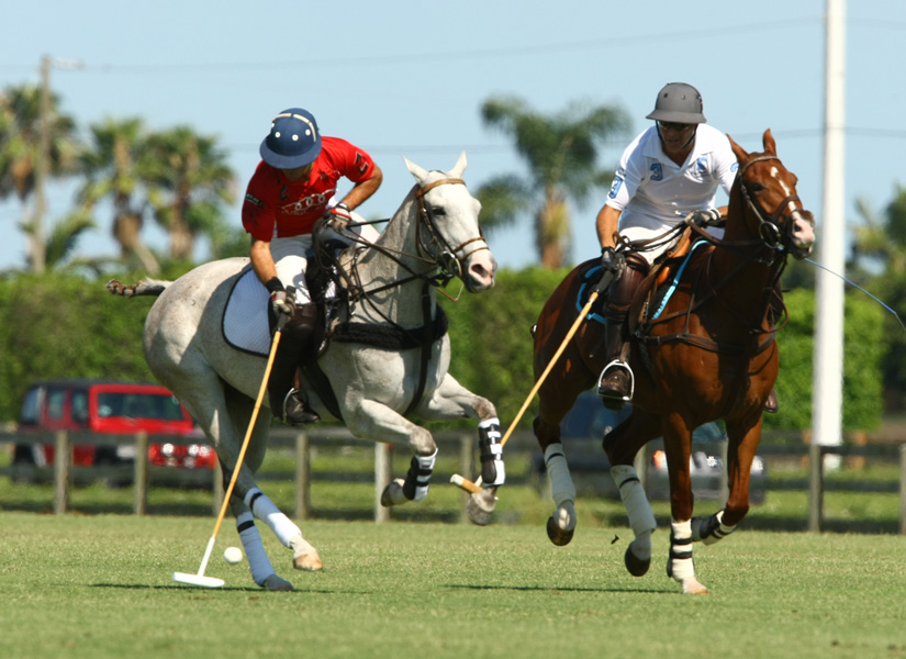 audi polo team elg polo team 4