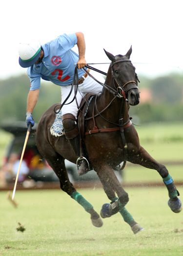 palmcityopenpolotournament2013polomagazine 4