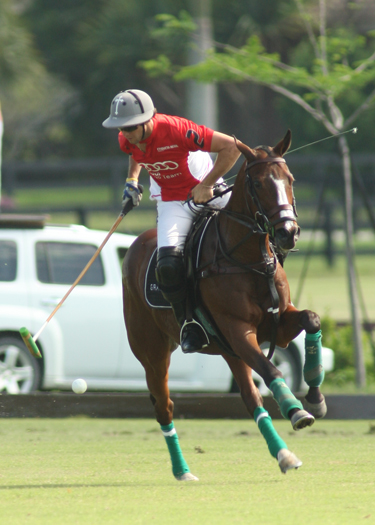 polophotopalmcitypoloclubpolomag 5