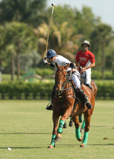 polophotopalmcitypoloclubpolomag 8