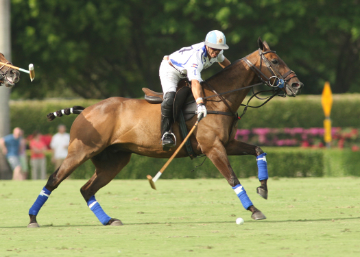 zacarapoloteamusopenpolotournamentpolomag2013 5