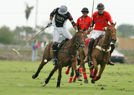 Photos of Orchard Hill vs. Audi-2-28-13