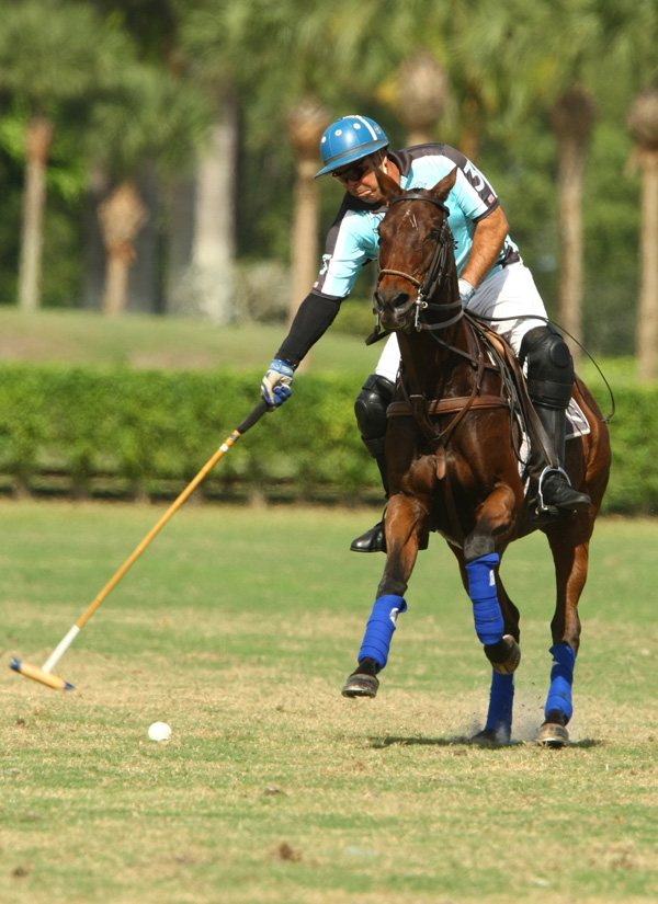 PhotosPachecopolotournamentpolomagazinePalm Restaurant Invitational Subsidiary Grand Champions  Berlin Polo  1