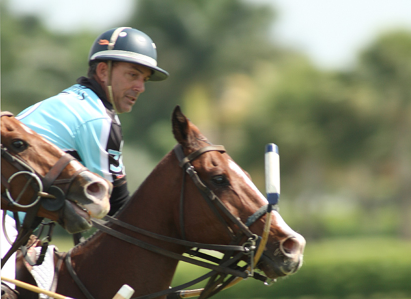casablanca polo tournament polo cup polo club